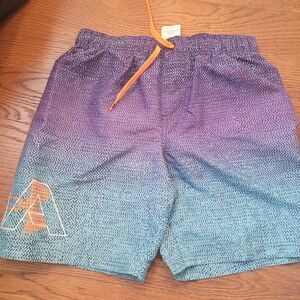 Under Armour Purple and Blue Gradient Men's Shorts
